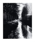 Brett Weston, Master Photographer