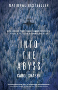Into the Abyss How a Deadly Plane Crash Changed the Lives of a Pilot, a Politician, a Criminal and a Cop