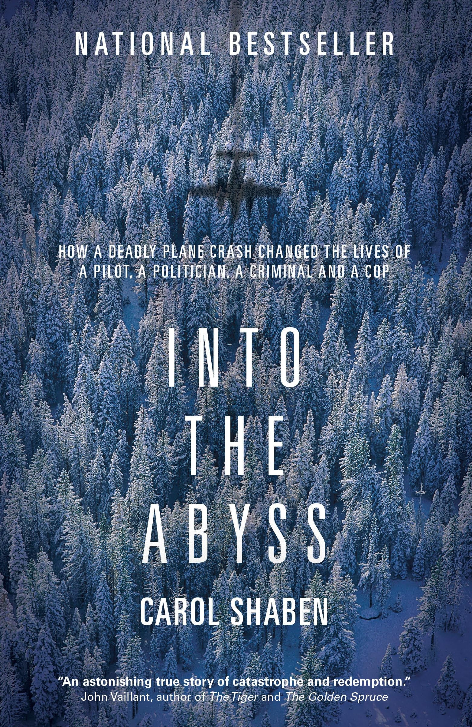 Into the Abyss How a Deadly Plane Crash Changed the Lives of a Pilot, a Politician, a Criminal and a Cop
