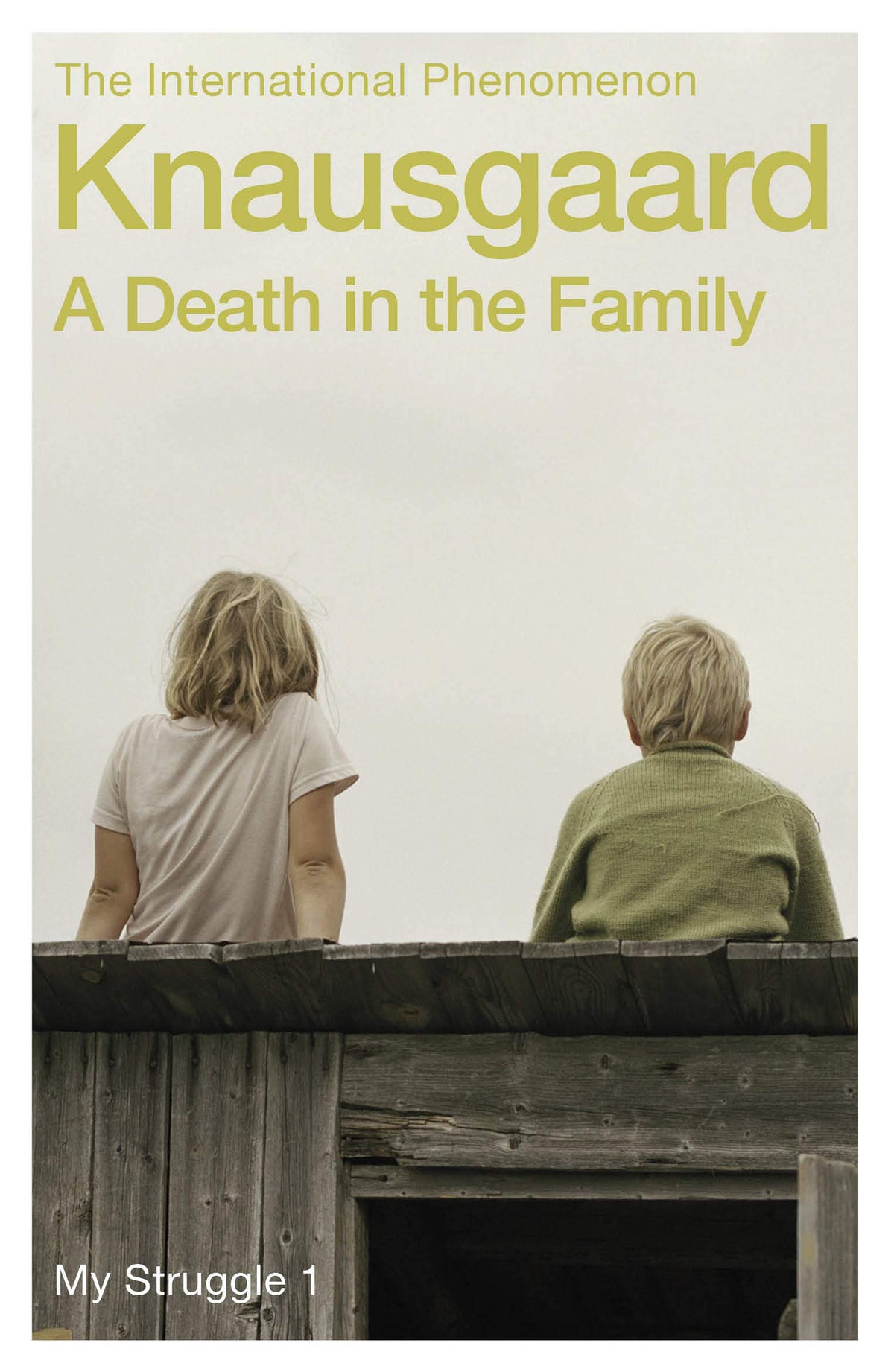 A death in the family: my struggle: book 1