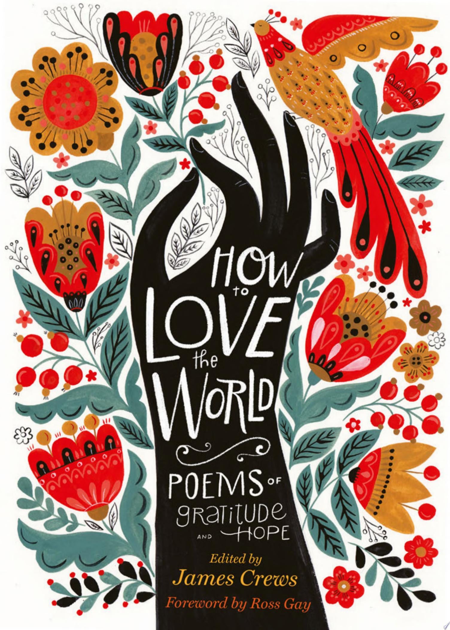 How to Love the World Poems of Gratitude and Hope