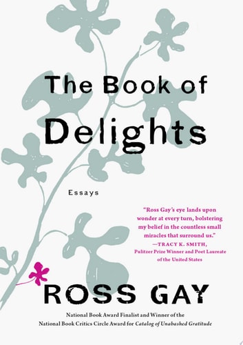 The Book of Delights Essays