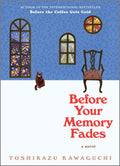 Before Your Memory Fades A Novel