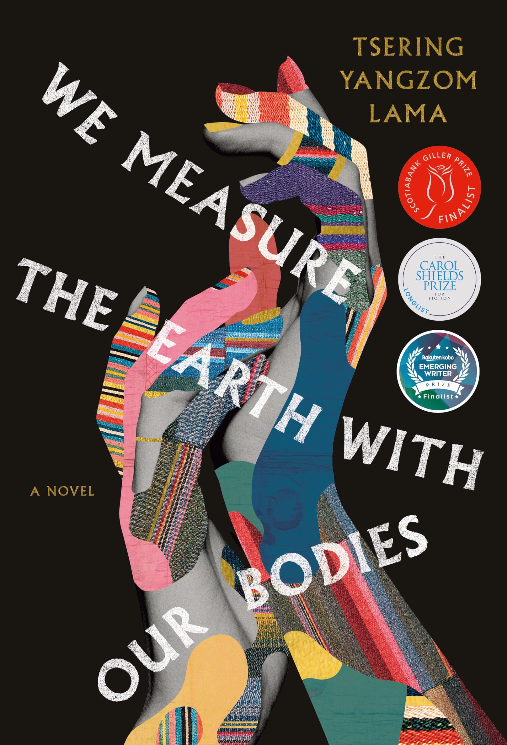We Measure the Earth with Our Bodies A Novel
