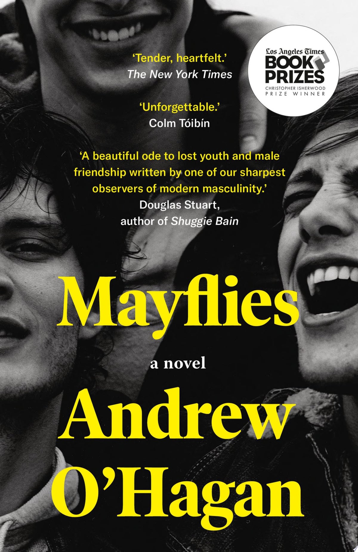 Mayflies A Novel