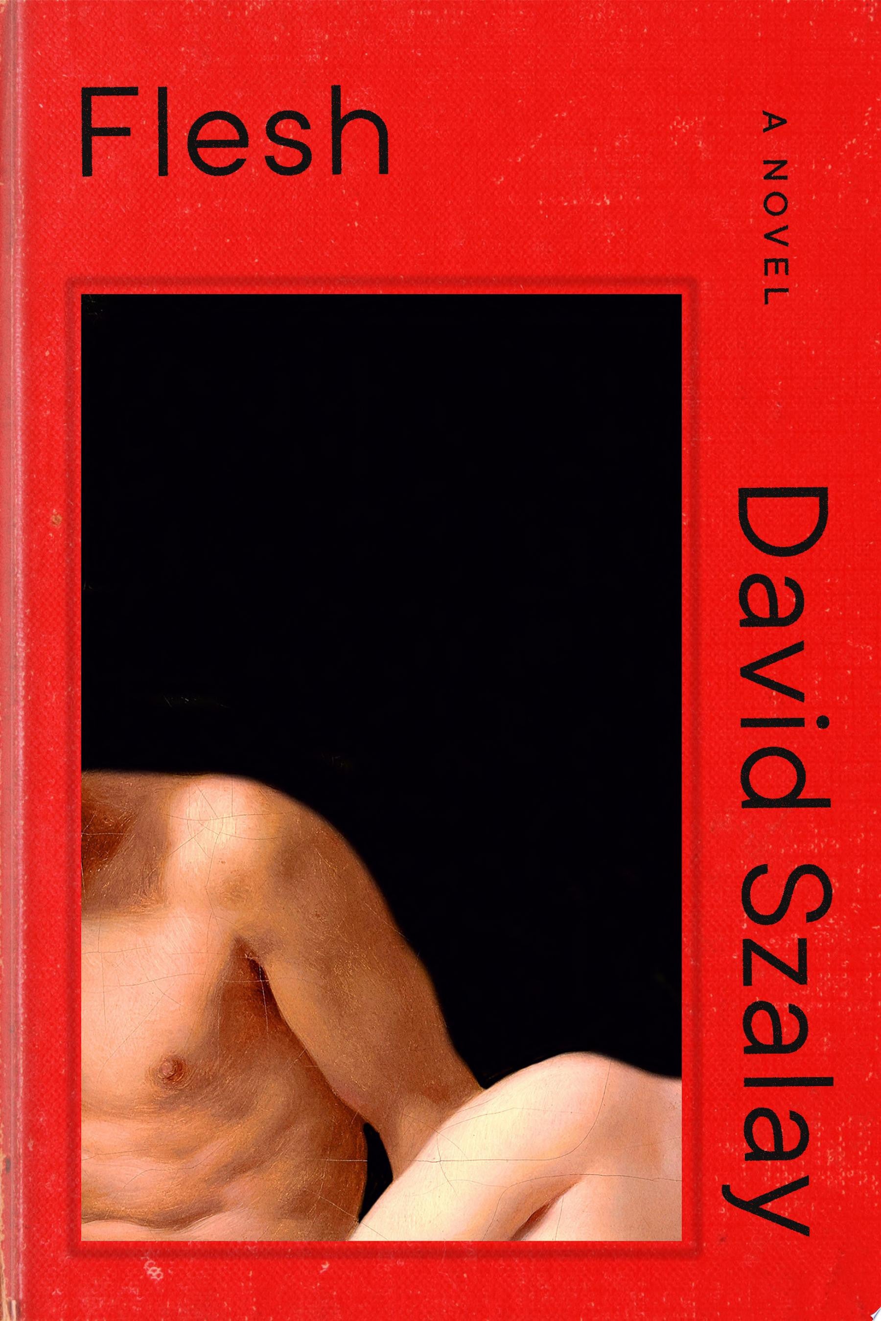 Flesh A Novel