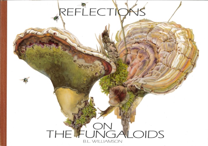 Reflections on the Fungaloids