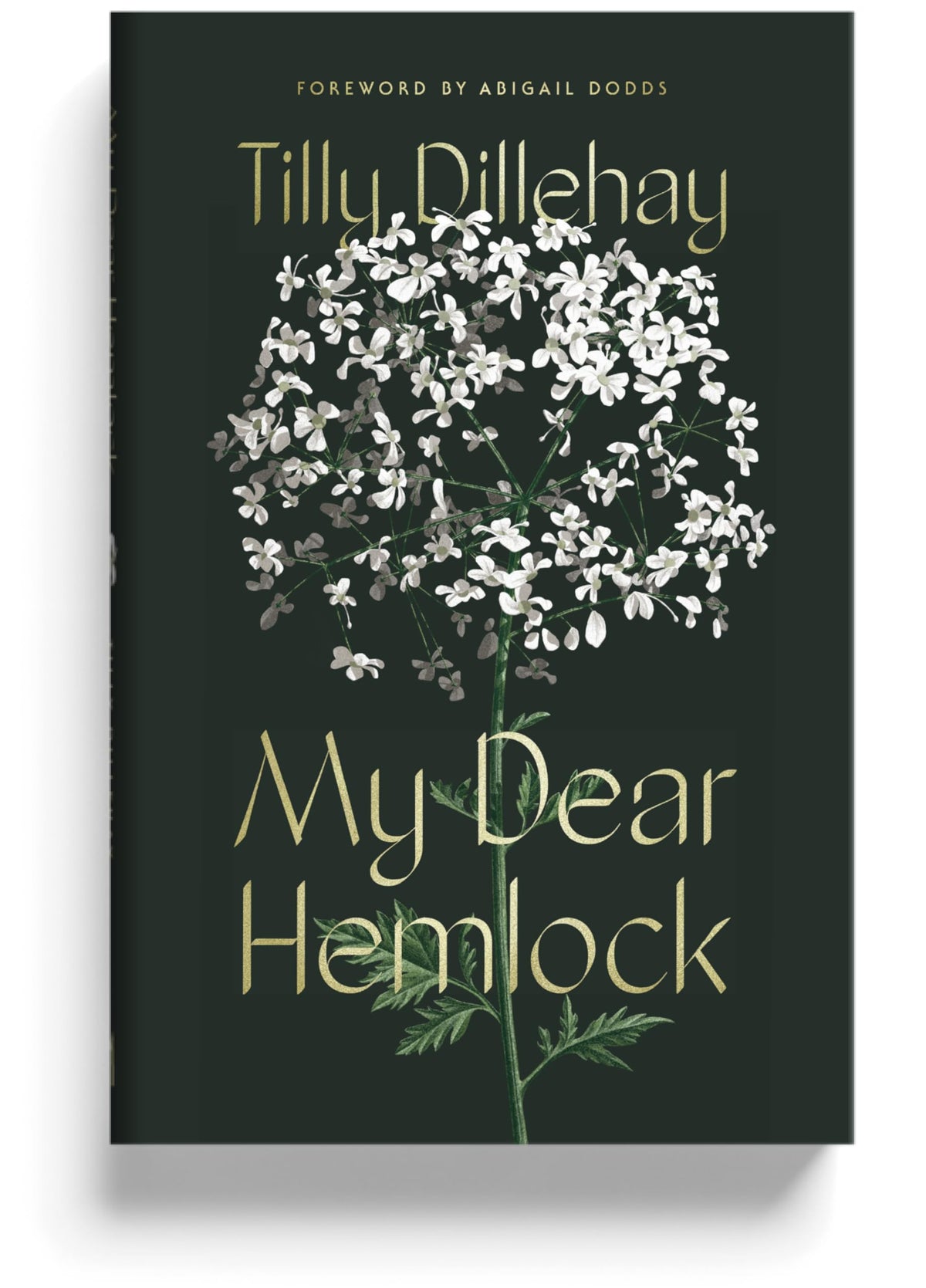 My dear Hemlock