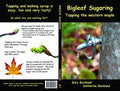 Bigleaf Sugaring Tapping the Western Maple