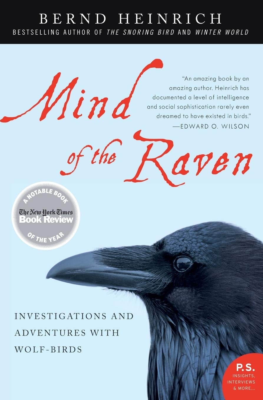 Mind of the Raven Investigations and Adventures with Wolf-Birds