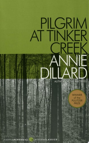 Pilgrim at Tinker Creek