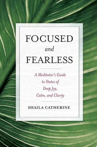 Focused and Fearless A Meditator's Guide to States of Deep Joy, Calm, and Clarity