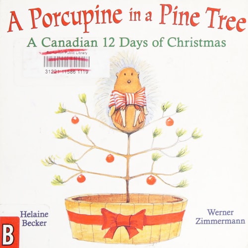 A Porcupine in a Pine Tree