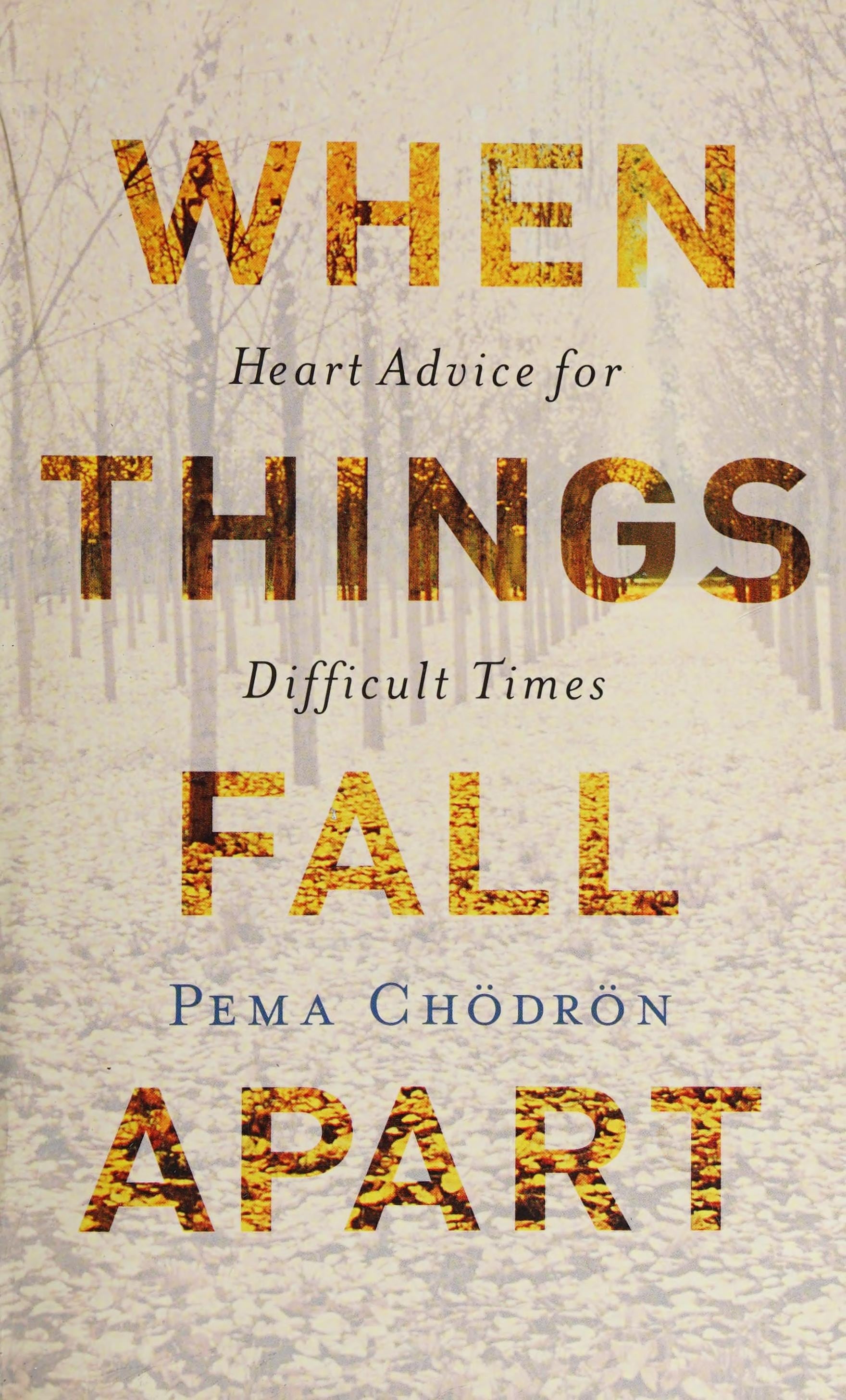 When Things Fall Apart Heart Advice for Difficult Times