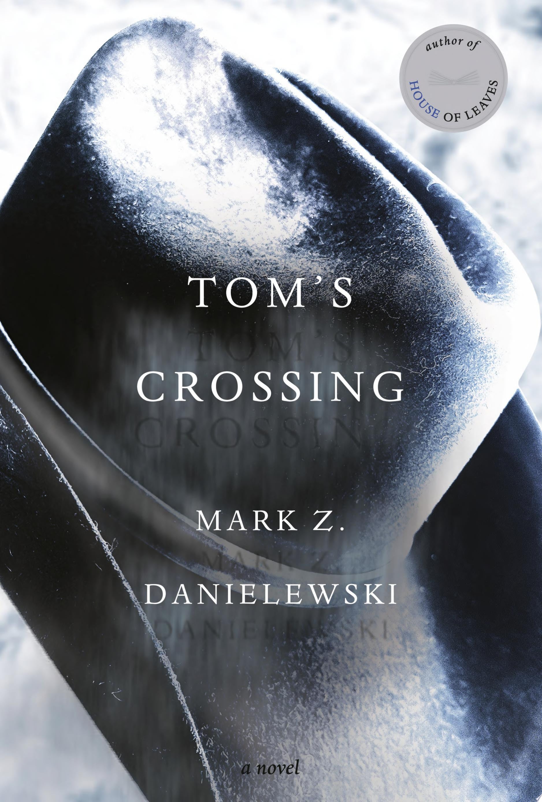 Tom's Crossing A Novel