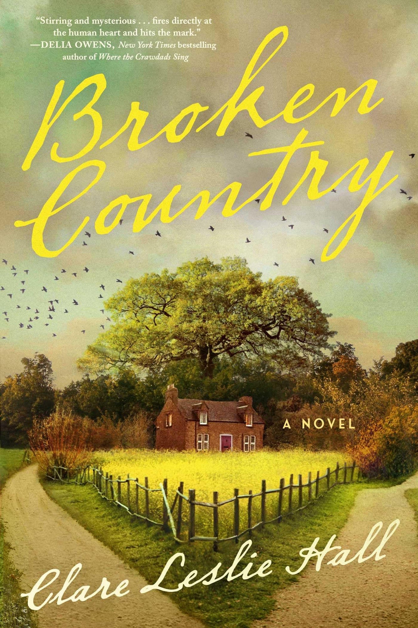 Broken Country (Reese's Book Club)