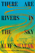 There Are Rivers in the Sky A Novel