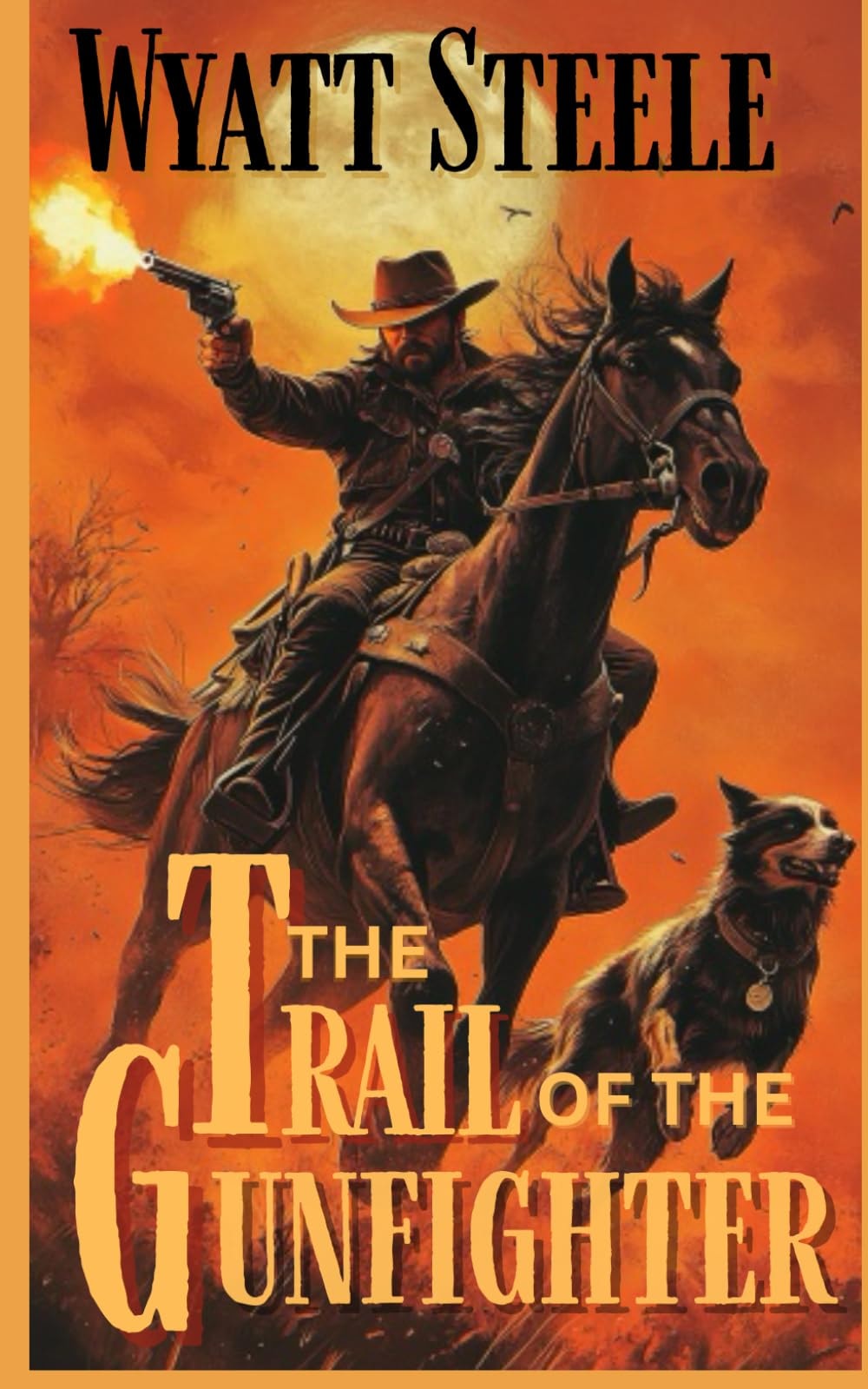 The Trail of the Gunfighter Apache Frontier Classic Western Series
