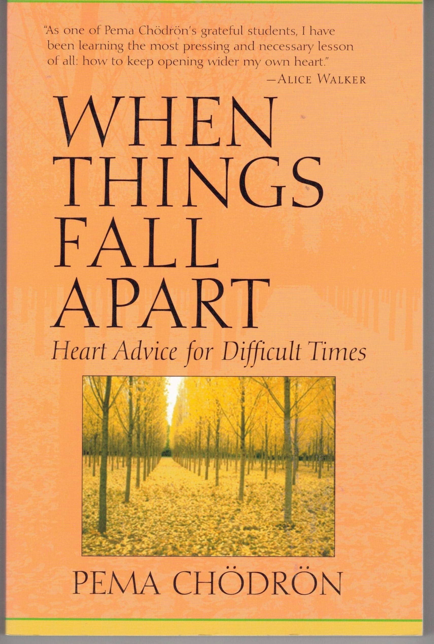 When Things Fall Apart Heart Advice for Difficult Times