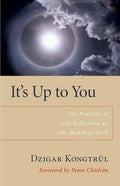 It's Up to You The Practice of Self-Reflection on the Buddhist Path