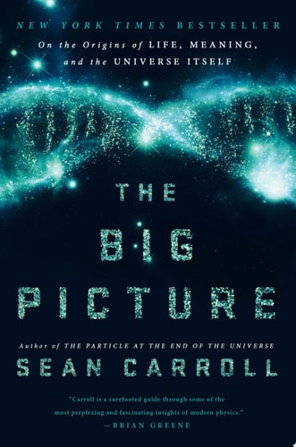 The Big Picture On the Origins of Life, Meaning, and the Universe Itself