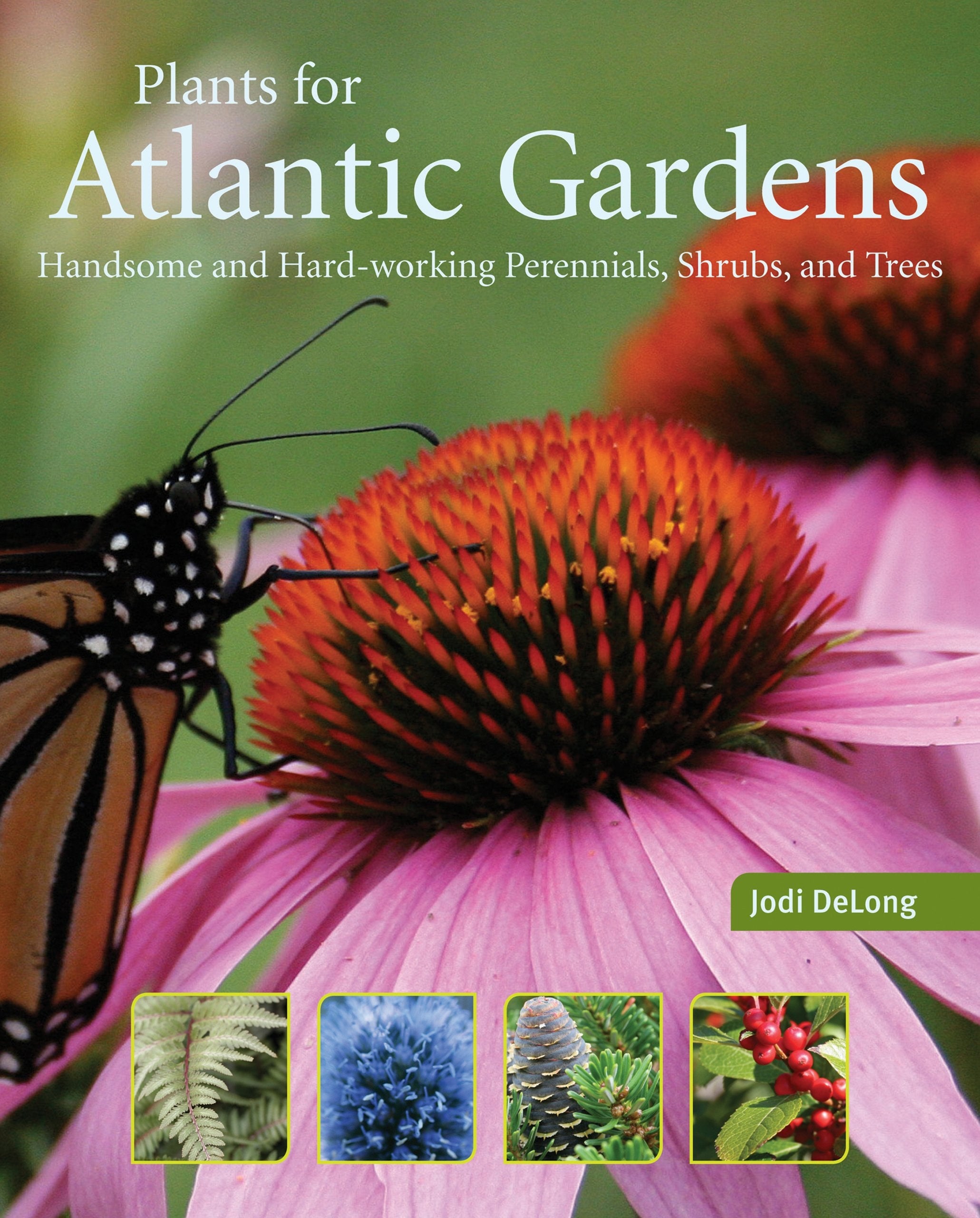 Plants for Atlantic Gardens Handsome and Hard-Working Shrubs, Trees, and Perennials