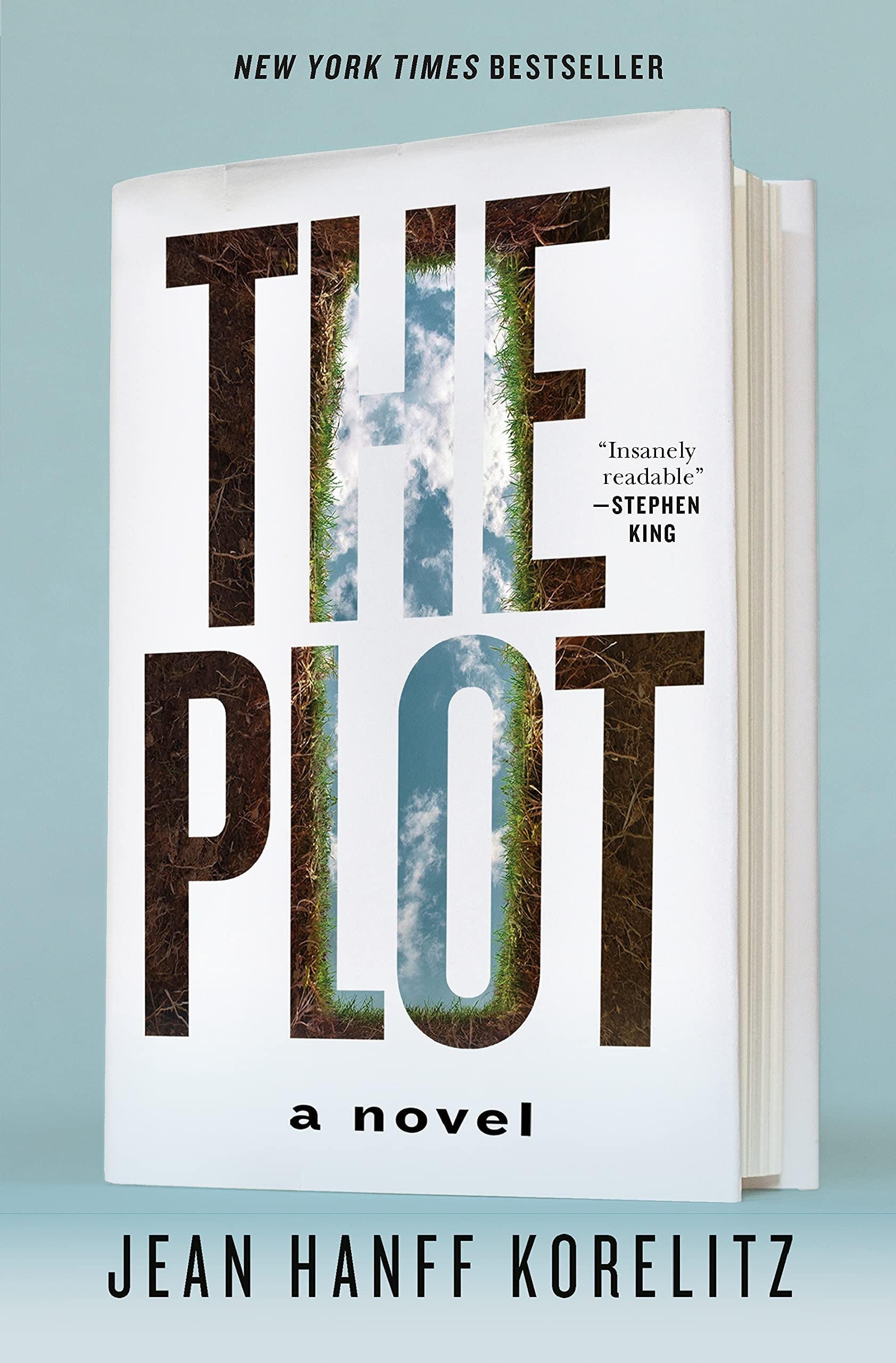 The Plot A Novel