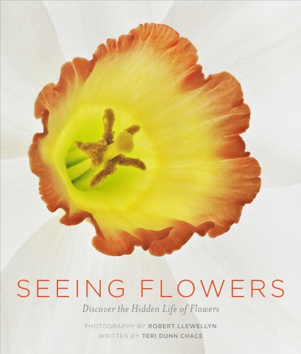 Seeing Flowers Discover the Hidden Life of Flowers