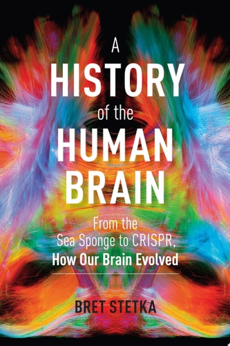 A History of the Human Brain From the Sea Sponge to CRISPR, How Our Brain Evolved