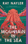 The Mountain in the Sea A Novel